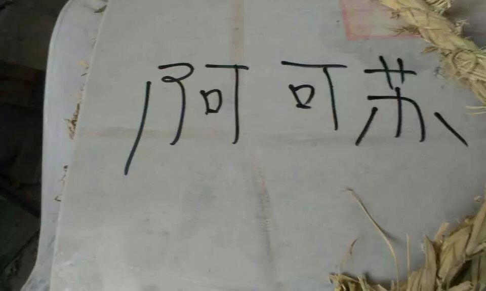 һƷ�rʳƷ�Cеһ��l(f��)���ҿ͑�