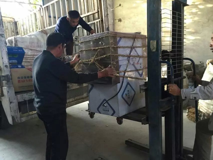 ���T�{�͑��ؼҰ��úõ����Sǰ��ُ�C�W��